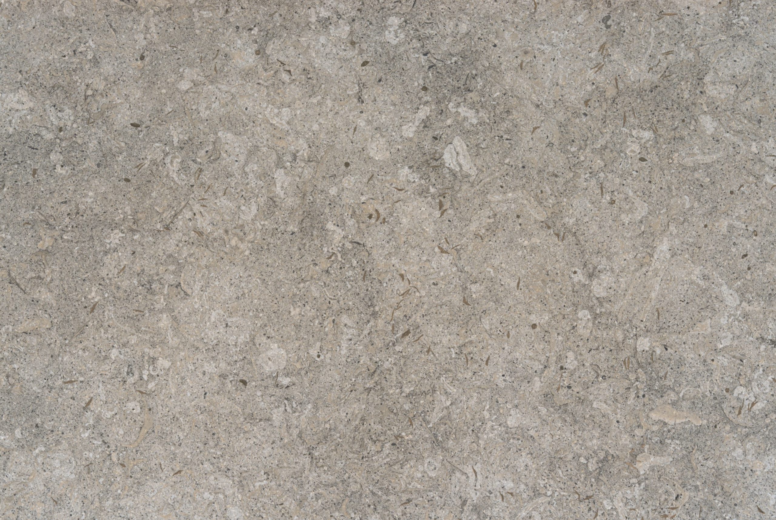 Grigio.jpg Grigio - Image 1