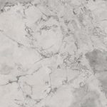 Super White Calacatta