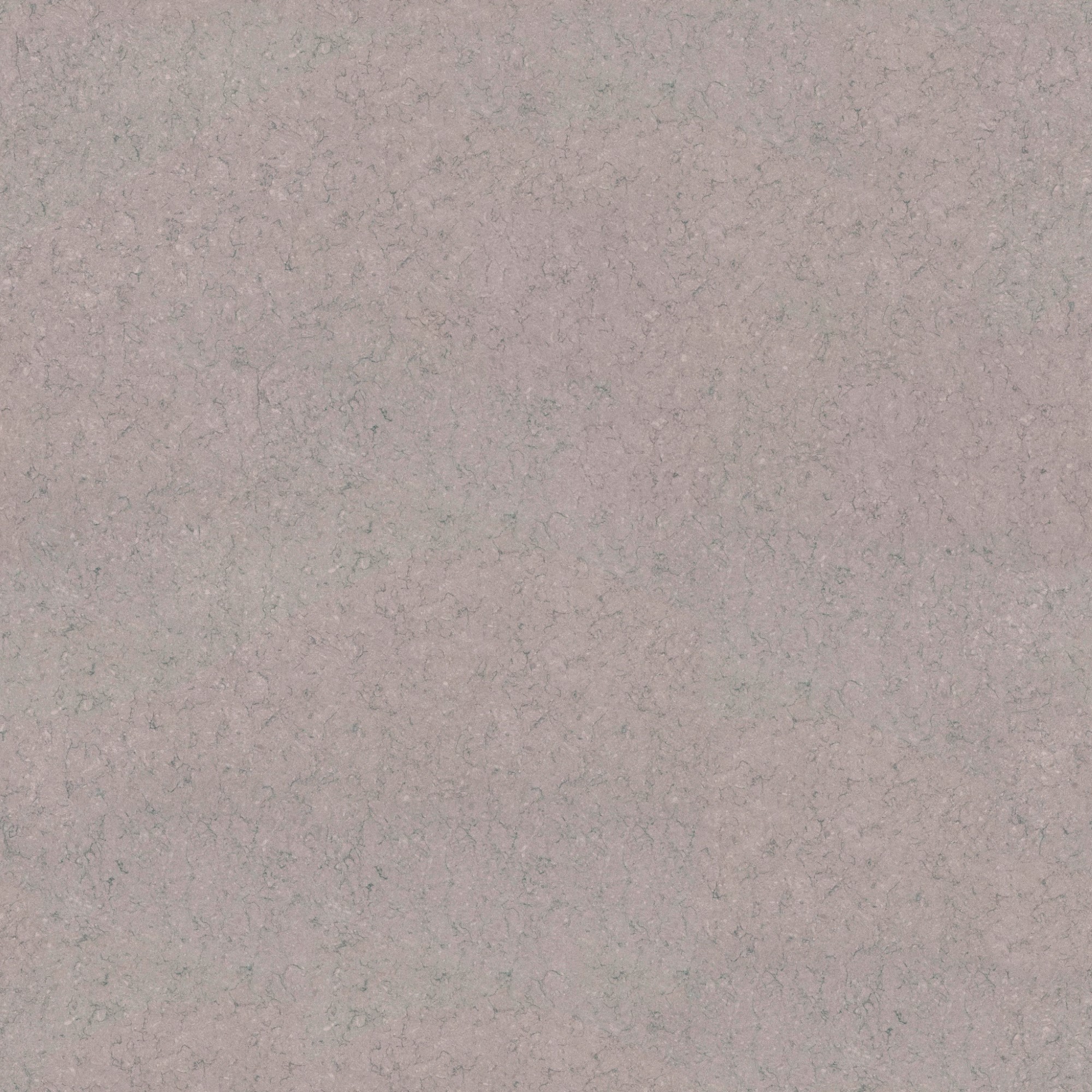 cygnus-tabla.jpg Cygnus Tabla - Image 1