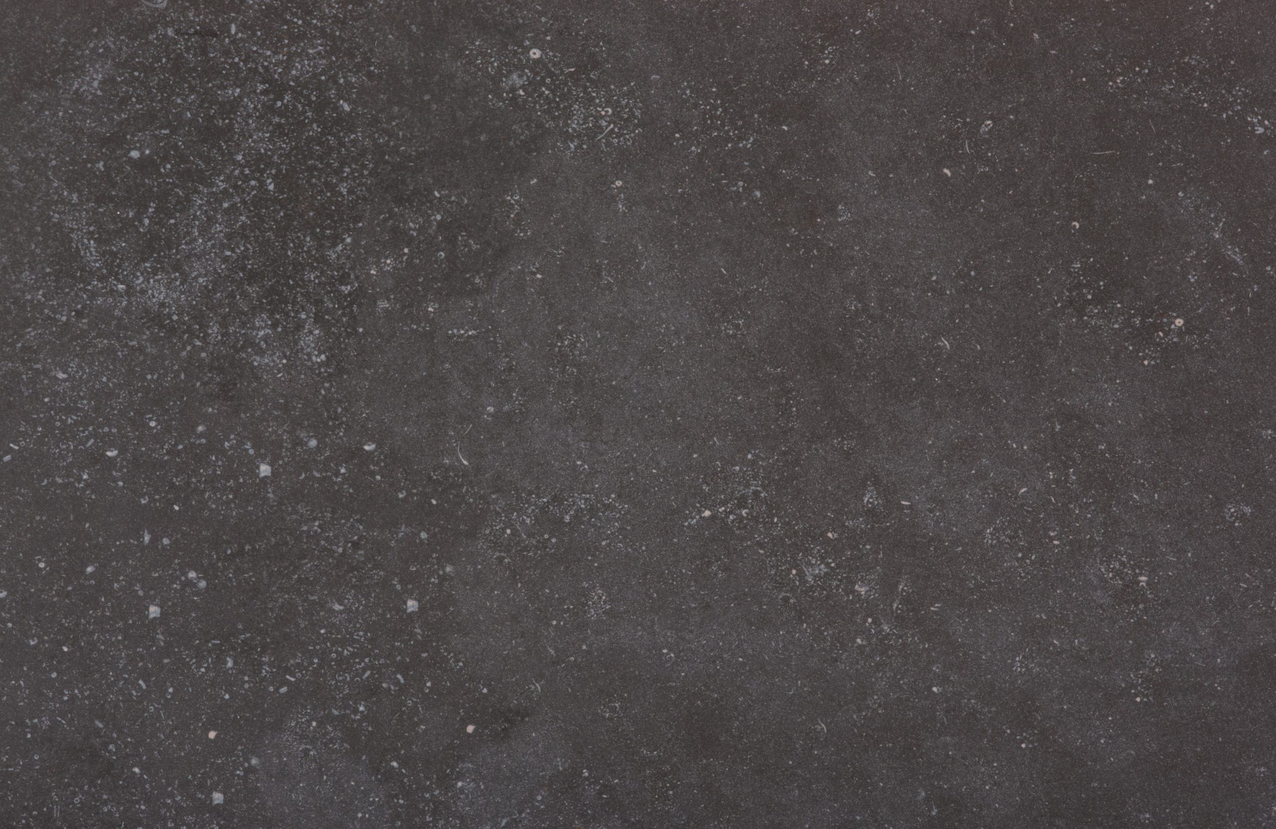 fossil.jpg Fossil - Image 1
