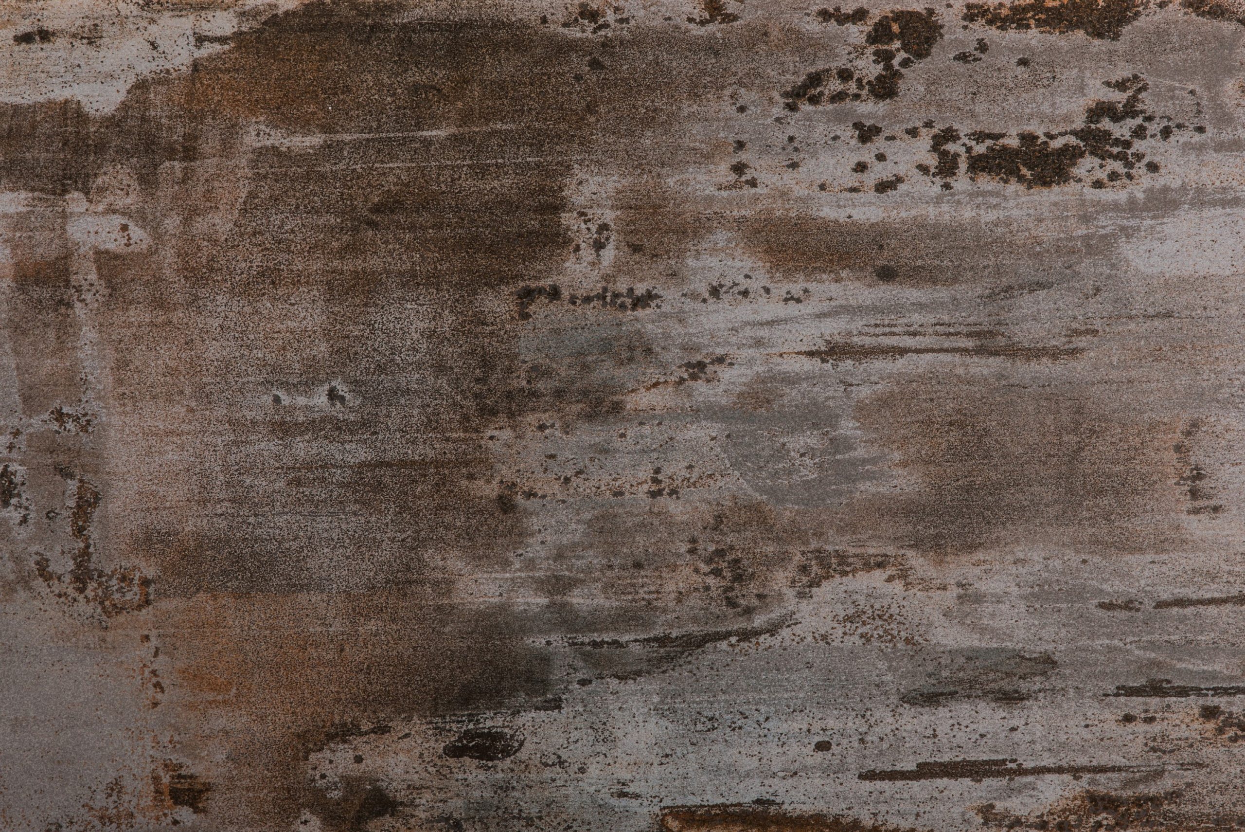 trilium.jpg Trilium - Image 1